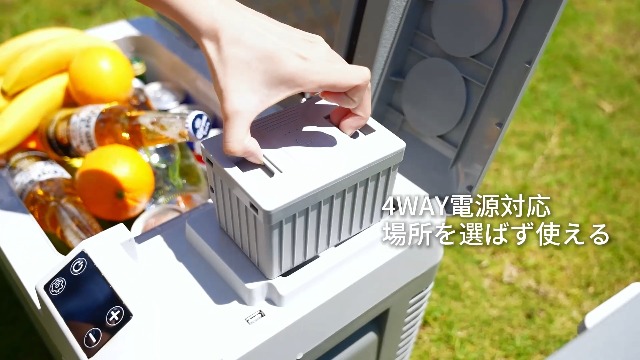 Amazon.co.jp: Litake(リテーク) 車載冷蔵庫 9L ポータブル冷蔵庫